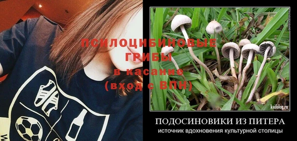 метадон Ишимбай