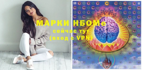 стаф Бородино