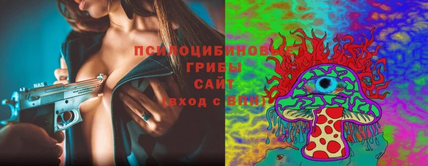 гидра Кадников