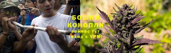 молекула духа Магадан