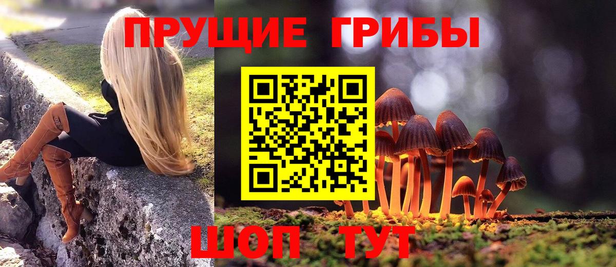 Псилоцибиновые грибы Cubensis Маркс