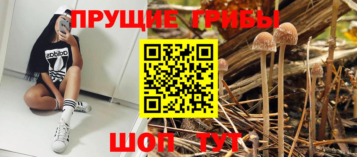 Галлюциногенные грибы GOLDEN TEACHER Маркс