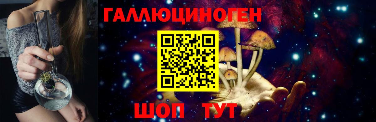 Псилоцибиновые грибы мицелий  Маркс  купить закладку  Псилоцибиновые грибы Psilocybine cubensis 